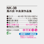 NK38